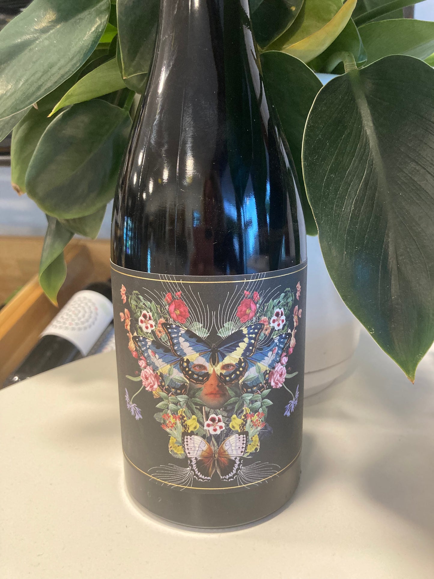 Adelina Shiraz Mataro