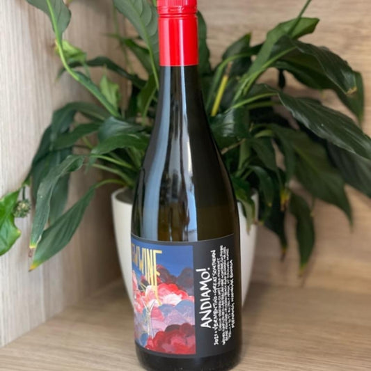 Brave New Wine Andiamo