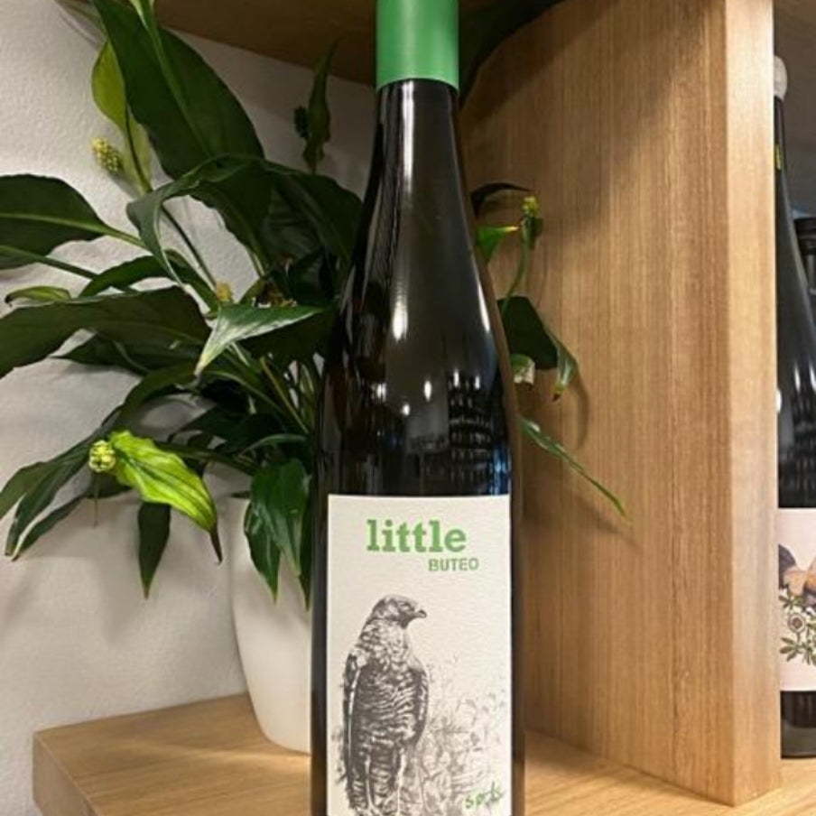 Michael Gindl Little Buteo Gruner Veltliner